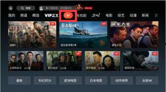 新疆饭店爆料视频播放器,揭秘事件背后真相 第2张 新疆饭店爆料视频播放器,揭秘事件背后真相 第2张