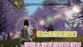 黎明觉醒建筑爆料视频,揭秘建筑爆料视频中的未来都市风貌